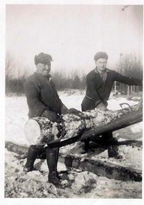 Logging on the French River